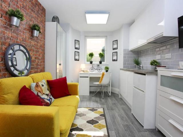 Studio to rent