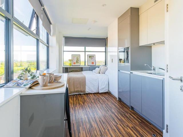 Studio to rent
