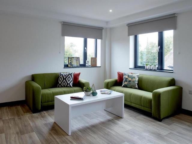 Studio to rent