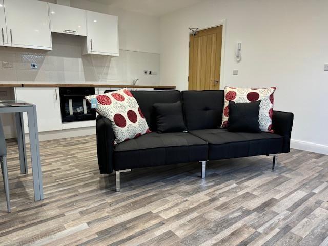 Studio to rent