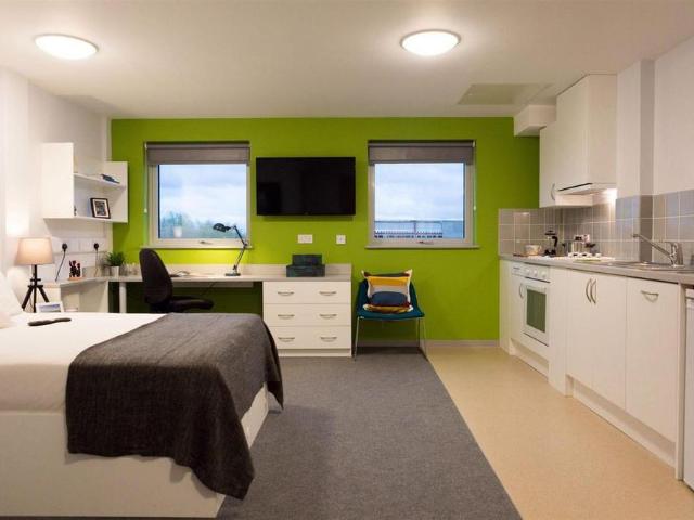 Studio to rent