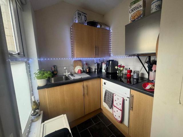 Studio to rent