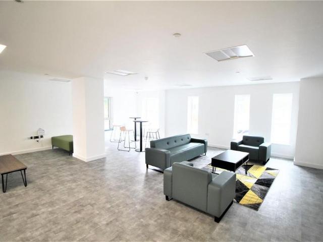 Studio to rent