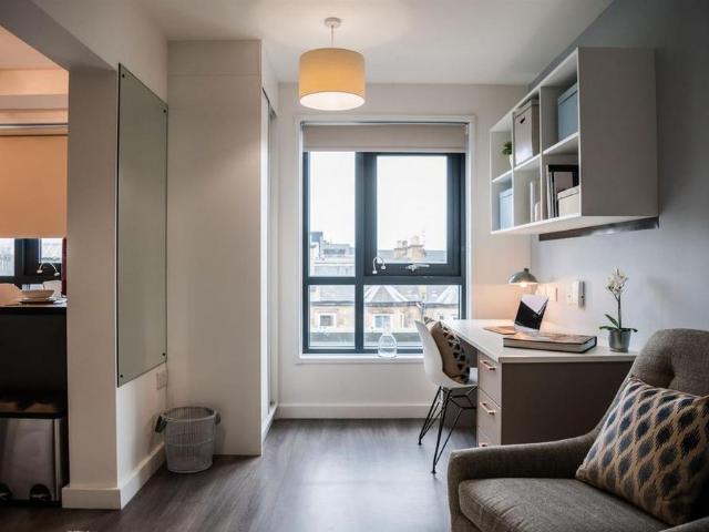 Studio to rent