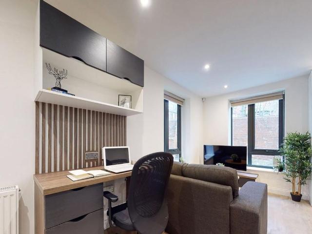 Studio to rent