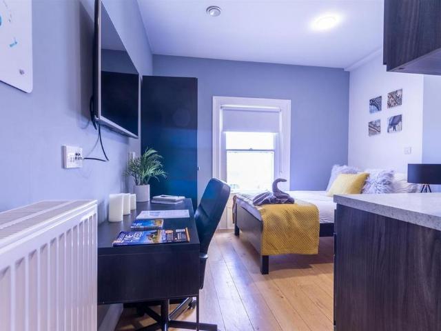Studio to rent