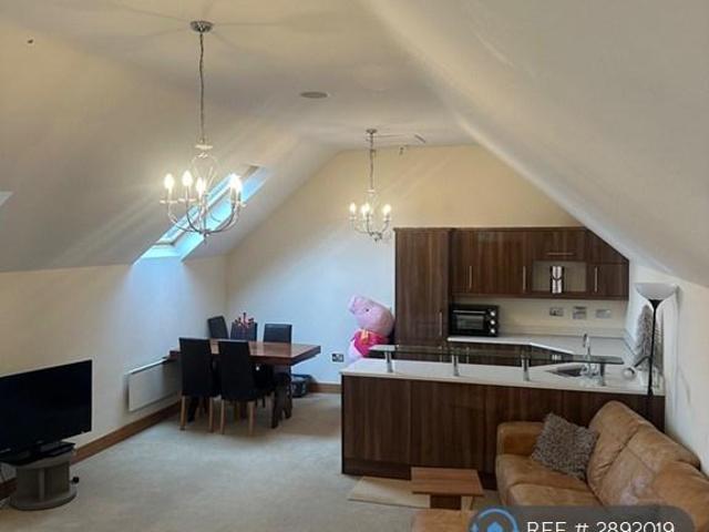 Studio to rent