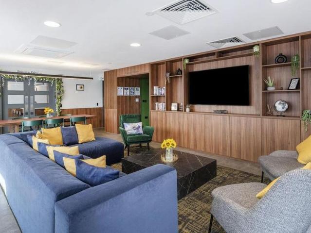 Studio to rent