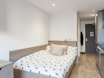 Studio to rent