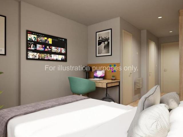 Studio to rent