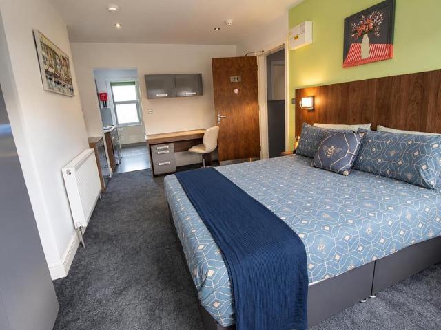 Studio to rent