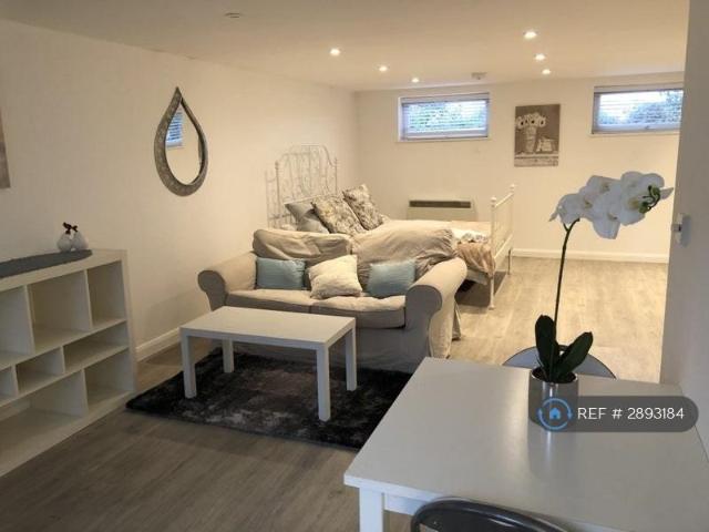 Studio to rent