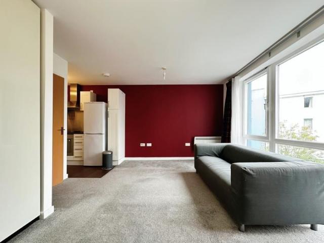 Studio to rent