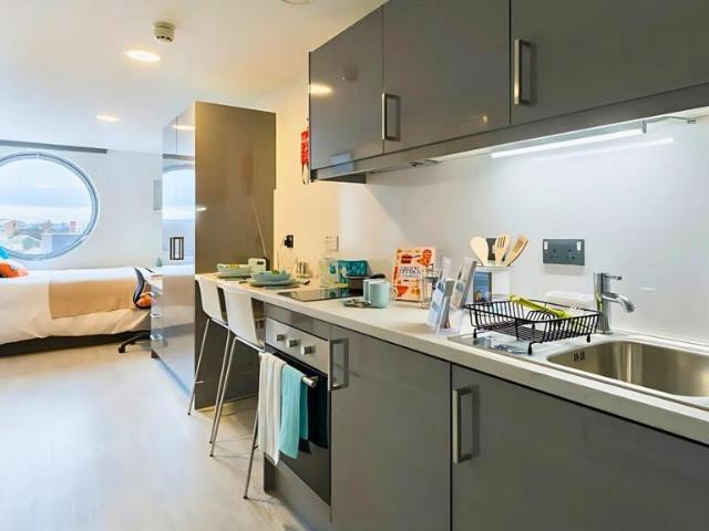 Studio to rent