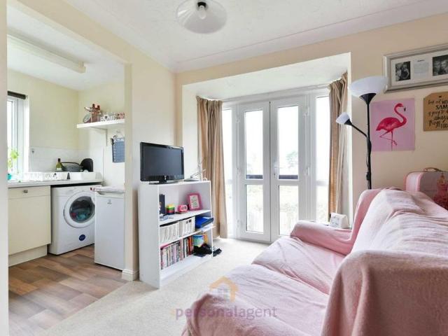 Studio to rent