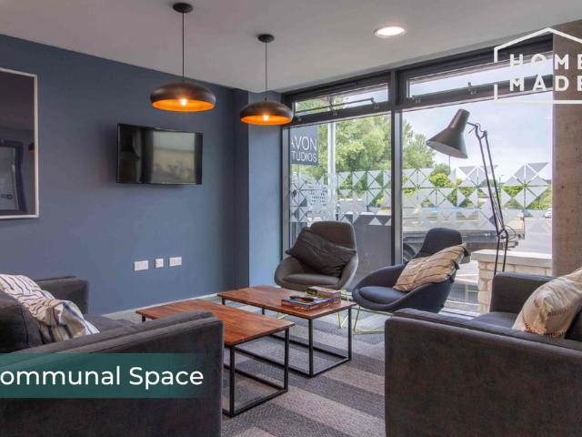 Studio to rent