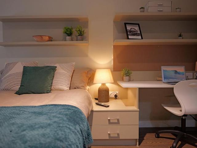 Studio to rent
