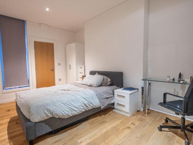 Studio to rent