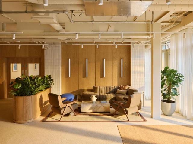 Studio to rent