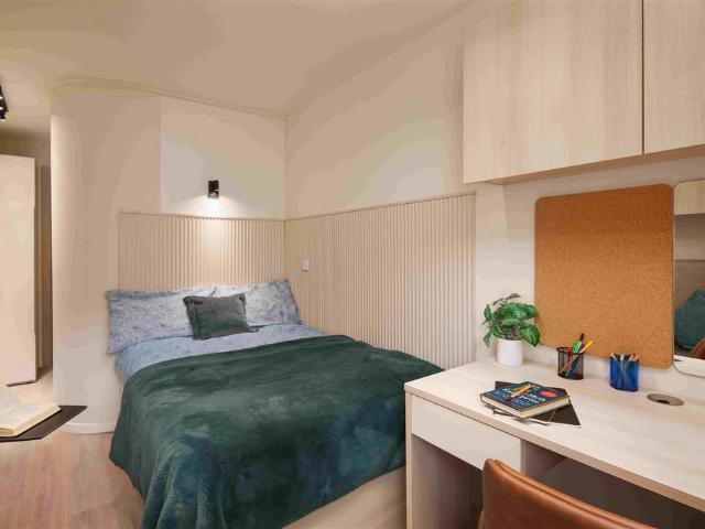 Studio to rent