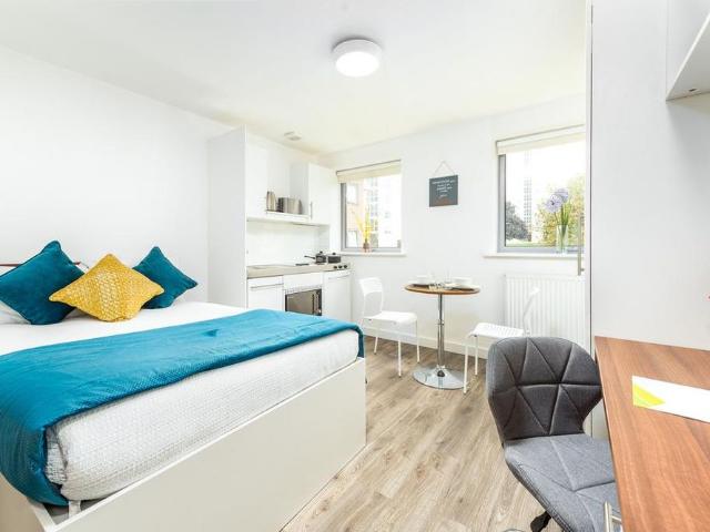 Studio to rent