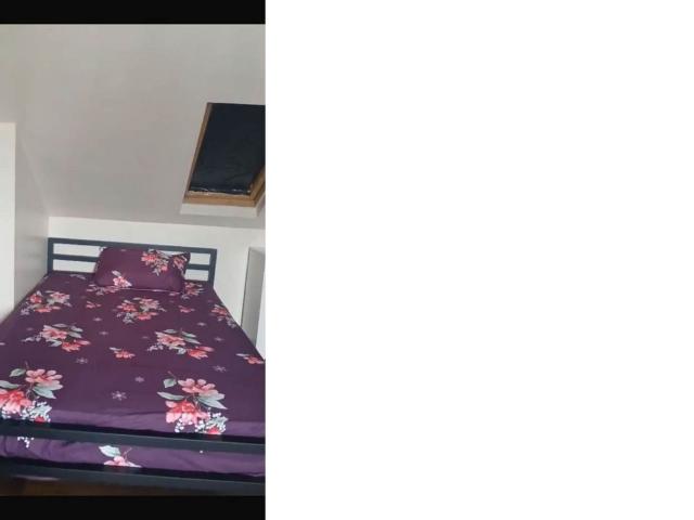 Studio to rent