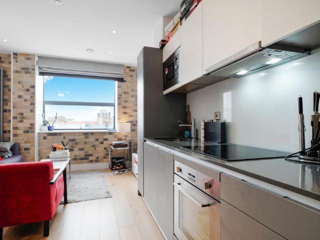 Studio to rent