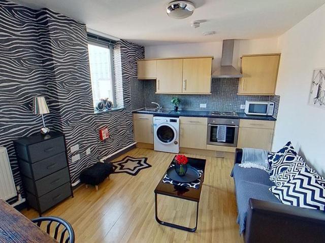Studio to rent