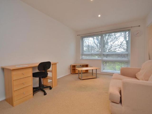 Studio to rent