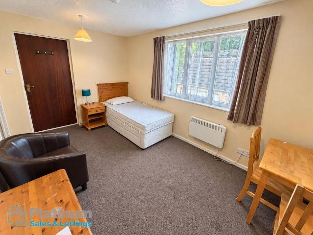 Studio to rent