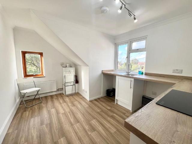 Studio to rent