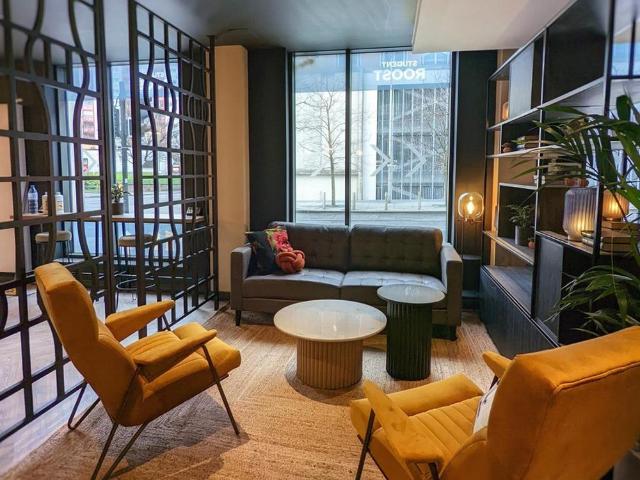 Studio to rent