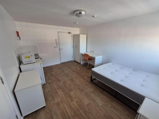 Studio to rent