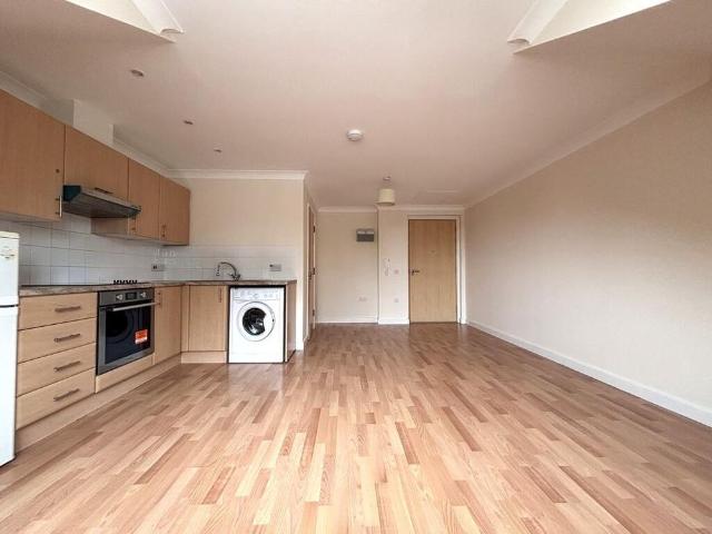 Studio to rent
