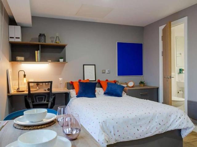Studio to rent