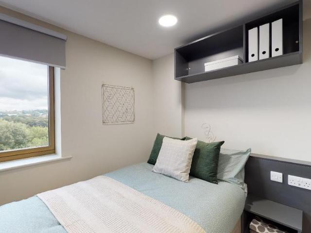 Studio to rent