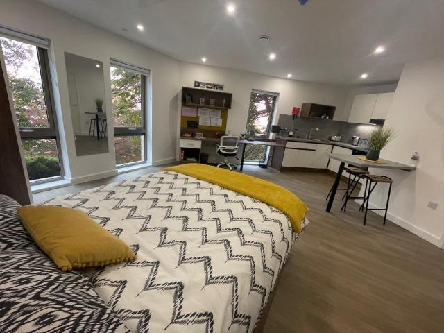 Studio to rent