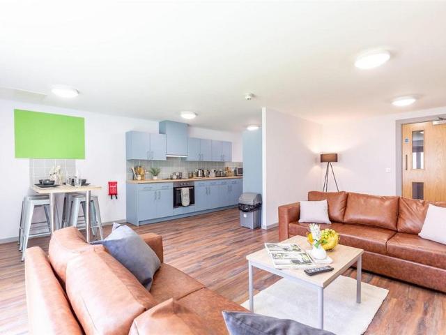 Studio to rent