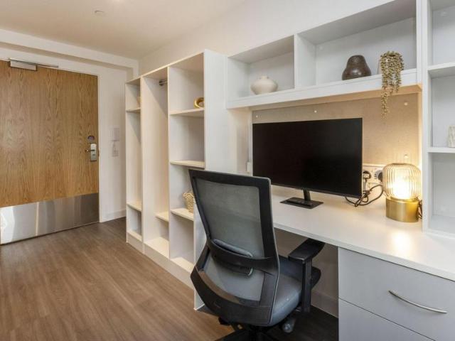 Studio to rent