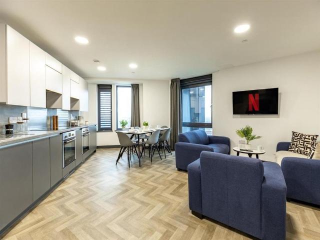 Studio to rent