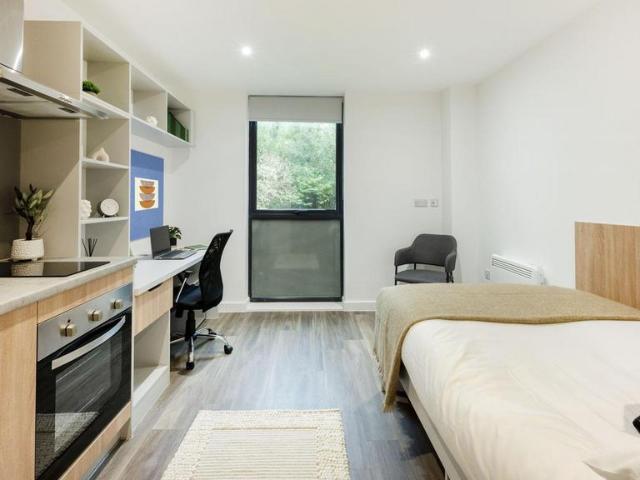 Studio to rent