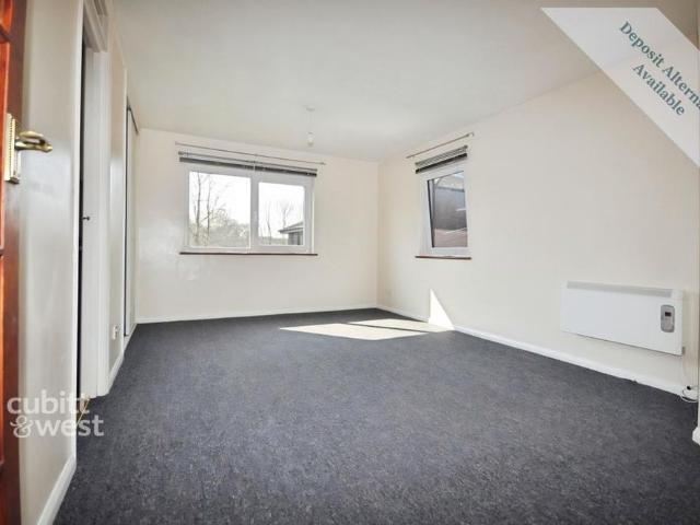 Studio to rent