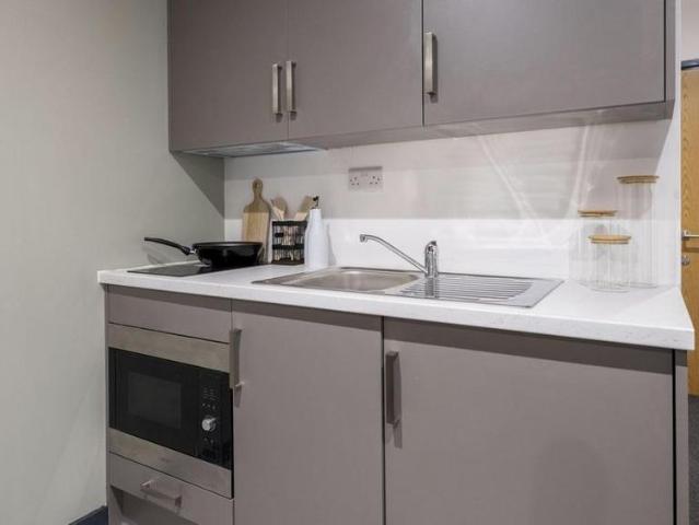 Studio to rent