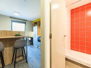Studio to rent