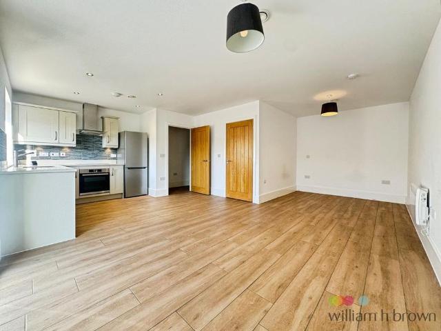 Studio to rent