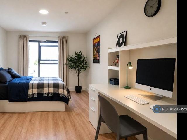 Studio to rent