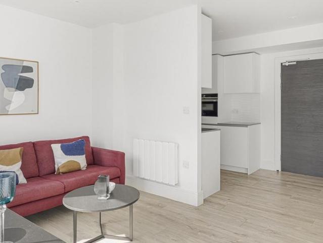 Studio to rent