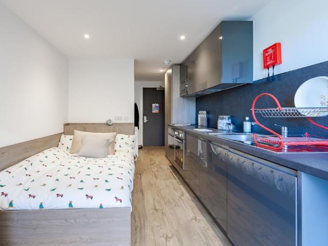 Studio to rent