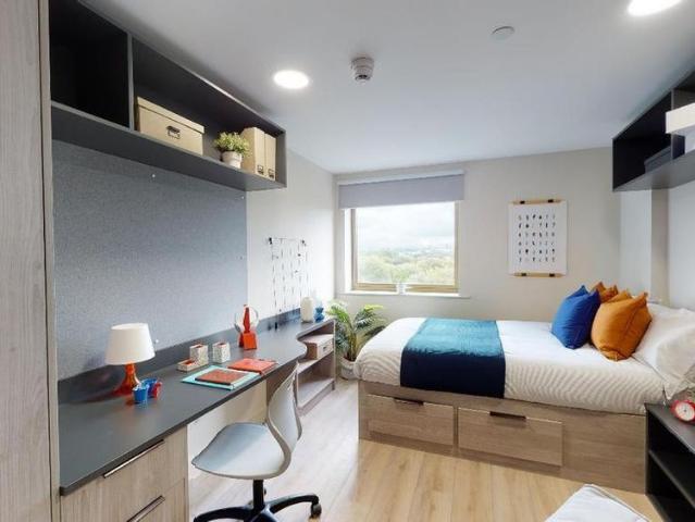 Studio to rent