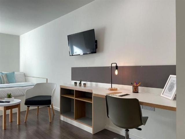 Studio to rent